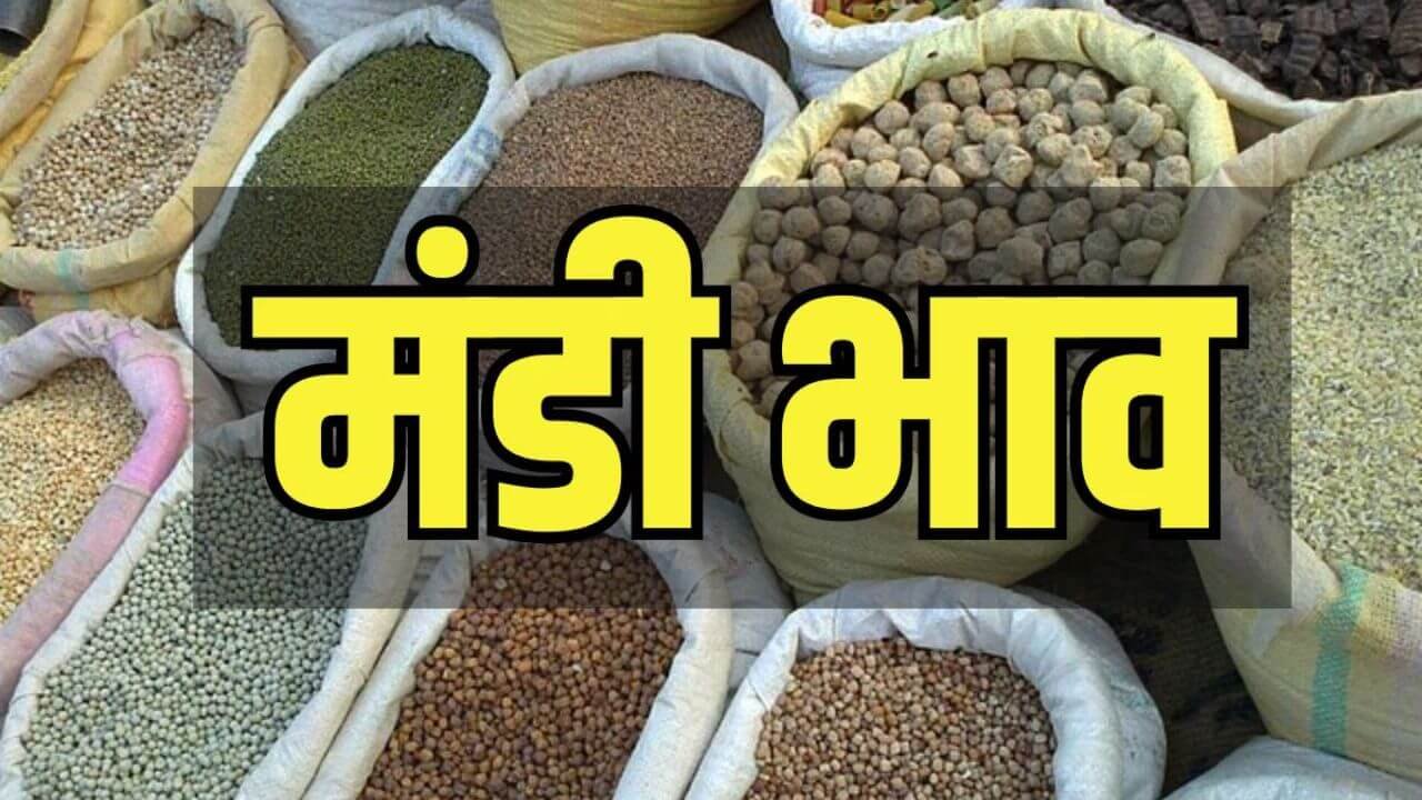 🌾 किसान – मंडी भाव और भाव देखने का आसान तरीका (2025 Guide)